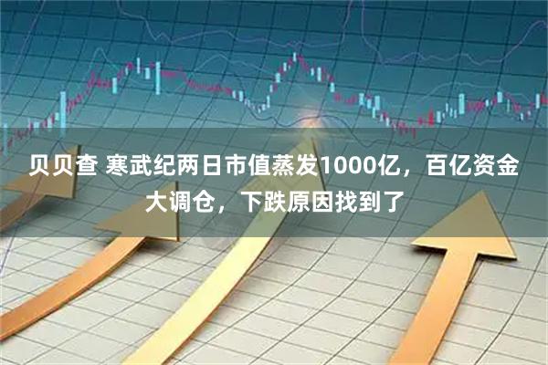 贝贝查 寒武纪两日市值蒸发1000亿，百亿资金大调仓，下跌原因找到了