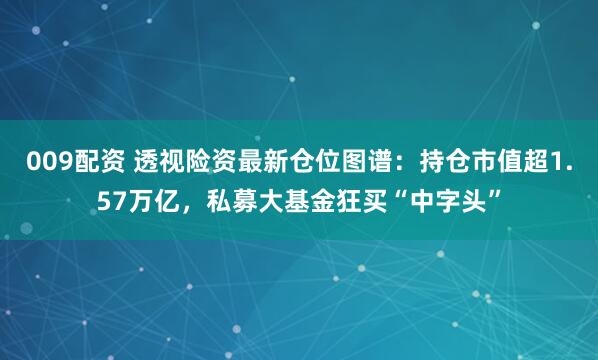 009配资 透视险资最新仓位图谱：持仓市值超1.57万亿，私募大基金狂买“中字头”