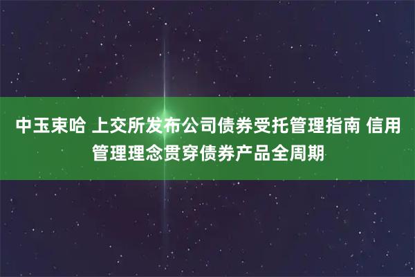 中玉束哈 上交所发布公司债券受托管理指南 信用管理理念贯穿债券产品全周期