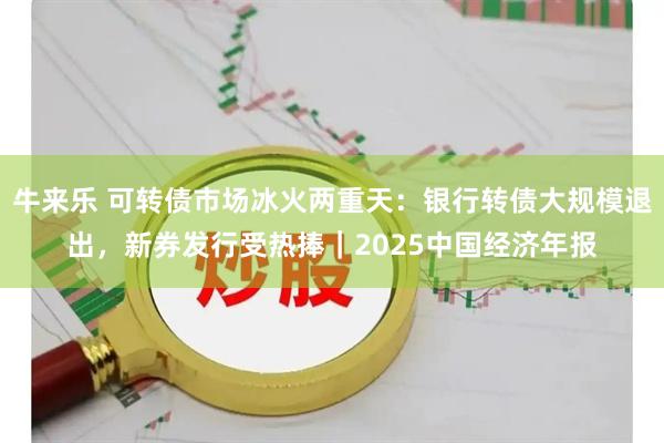 牛来乐 可转债市场冰火两重天：银行转债大规模退出，新券发行受热捧｜2025中国经济年报