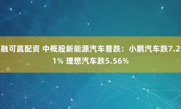 融可赢配资 中概股新能源汽车普跌：小鹏汽车跌7.21% 理想汽车跌5.56%